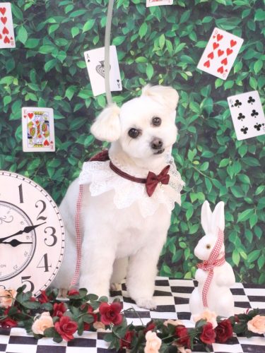 20250426うみちゃん